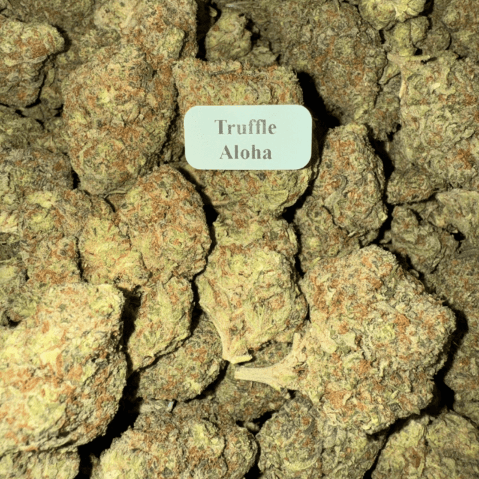 Bloomz Blazed Exotic THCA Flower Best Price