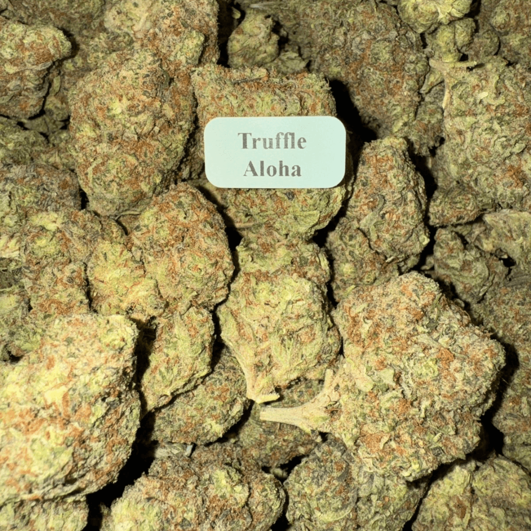 Bloomz Blazed Exotic THCA Flower Best Price