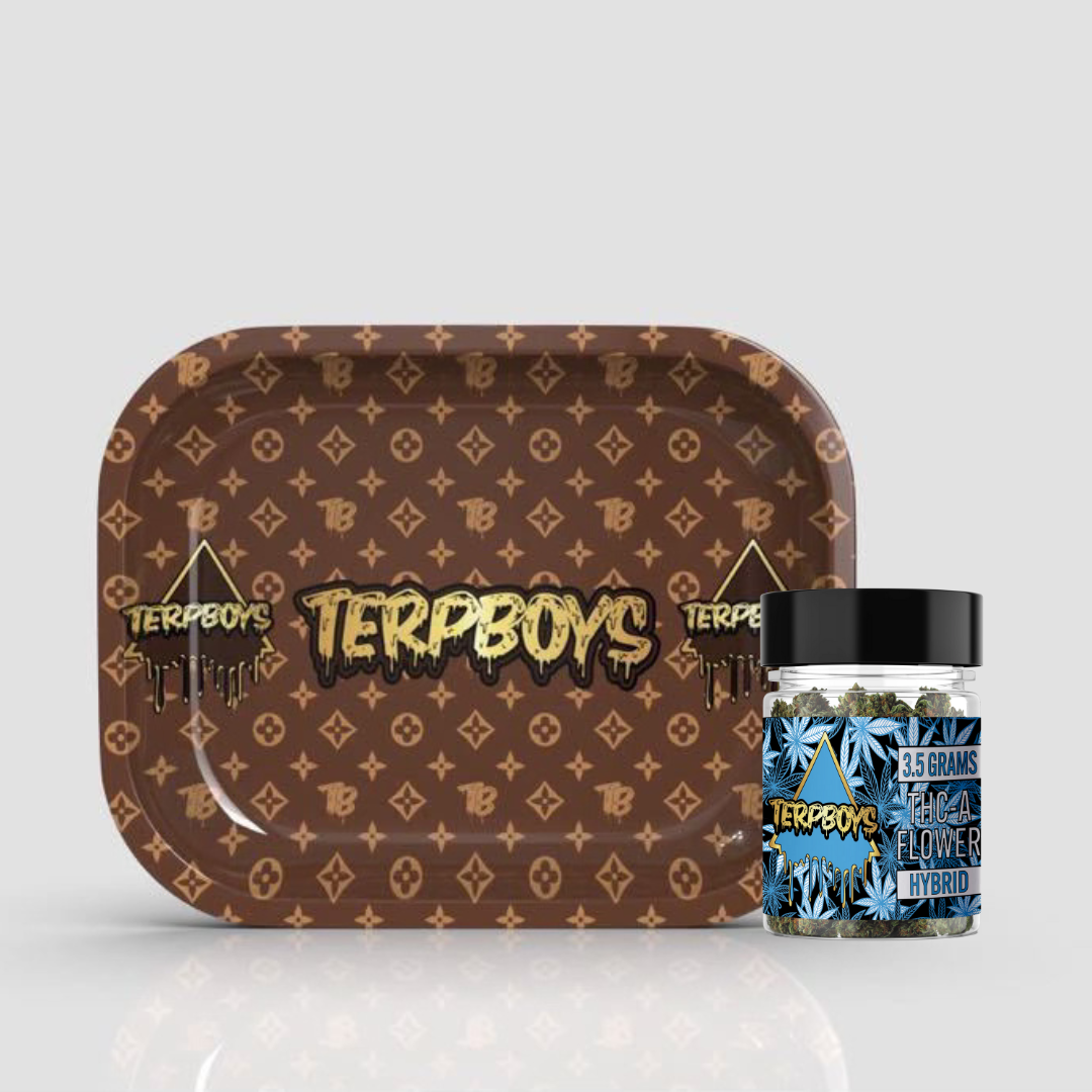 TerpBoys High Fashion Hybrid Bundle