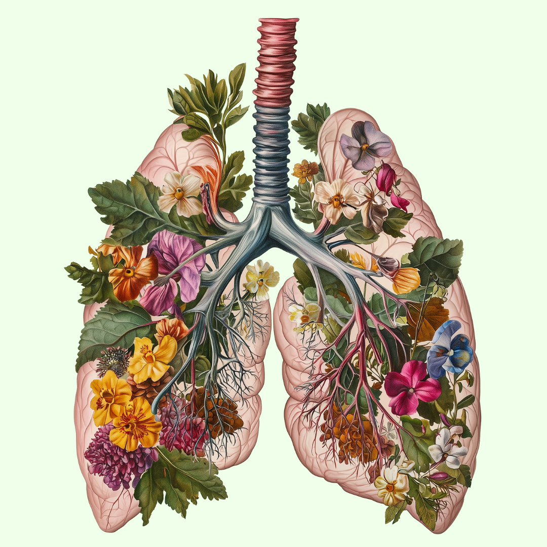 BetterBrand Lung Detox Guide