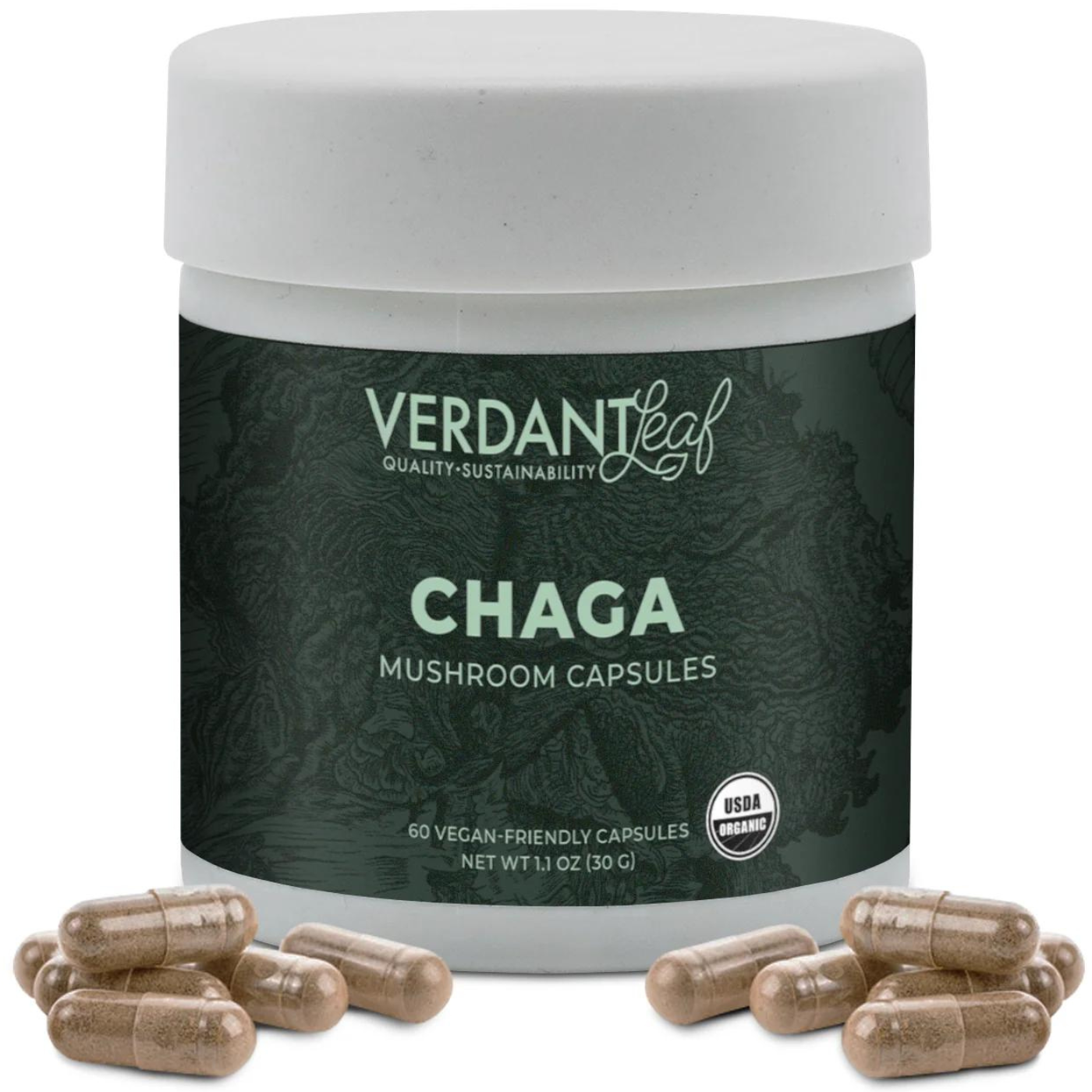 Verdant Leaf | Chaga Mushroom Capsules – 60ct | Mushroom Nootropics