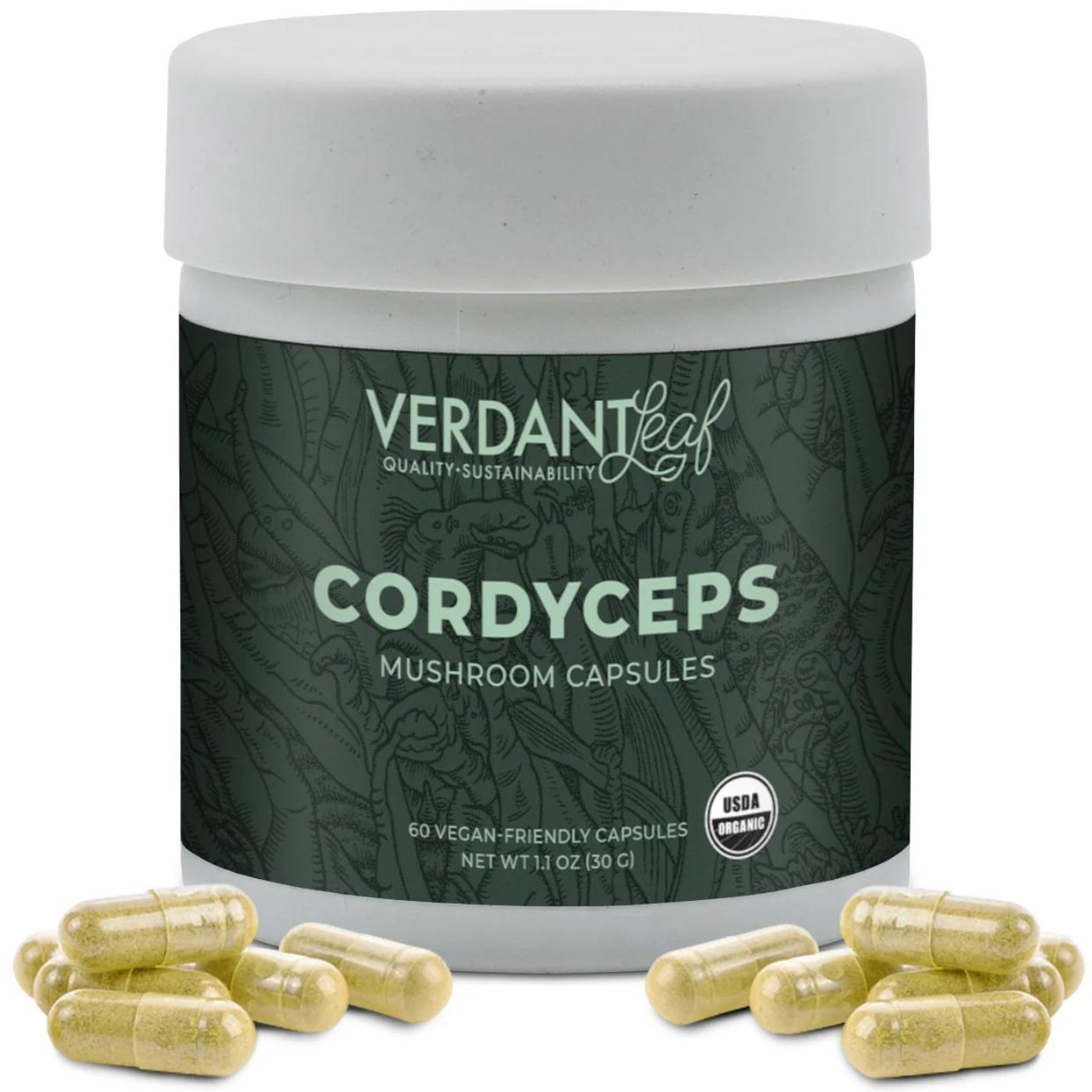 Verdant Leaf | Cordyceps Mushroom Capsules – 60ct | Mushroom Nootropics