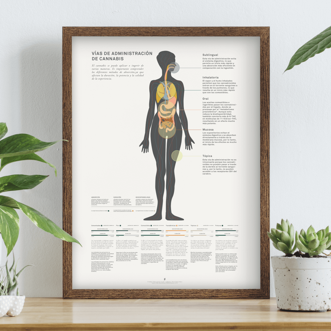 GoldLeaf Impresión Gráfico de Métodos Administración de Cannabis