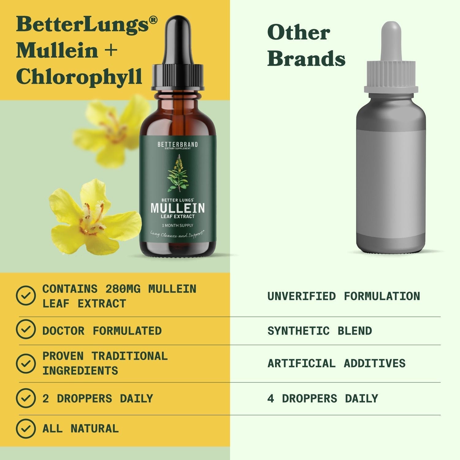 BetterLungs® Mullein + Chlorophyll