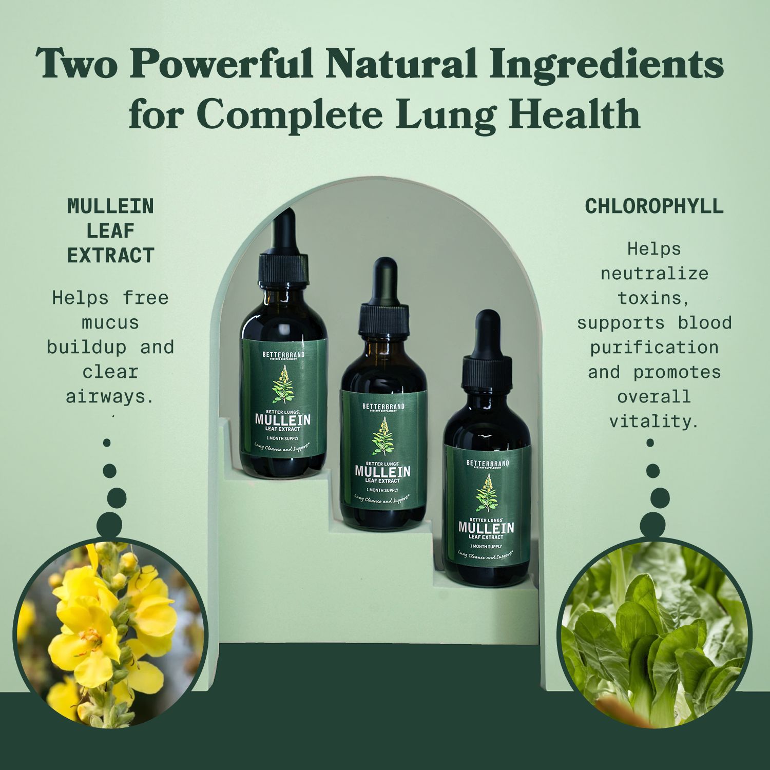 BetterLungs® Mullein + Chlorophyll