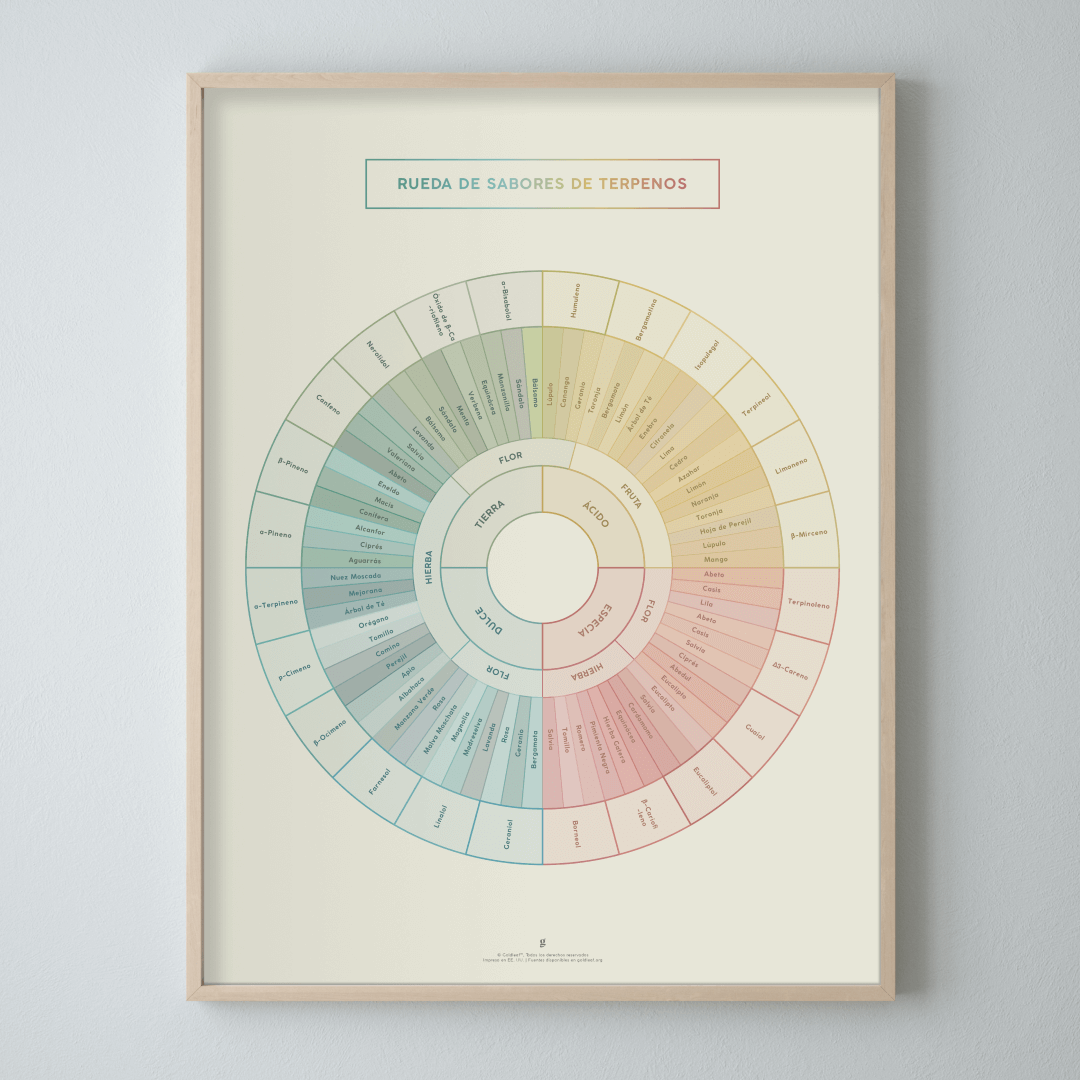 GoldLeaf Diagrama de la Rueda de Sabores y Terpenos Impresión