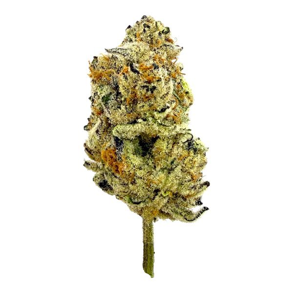YUMZ AAA Exotics Anchovy Pizza THCA Flower – 30.00% Best Sales Price - CBD