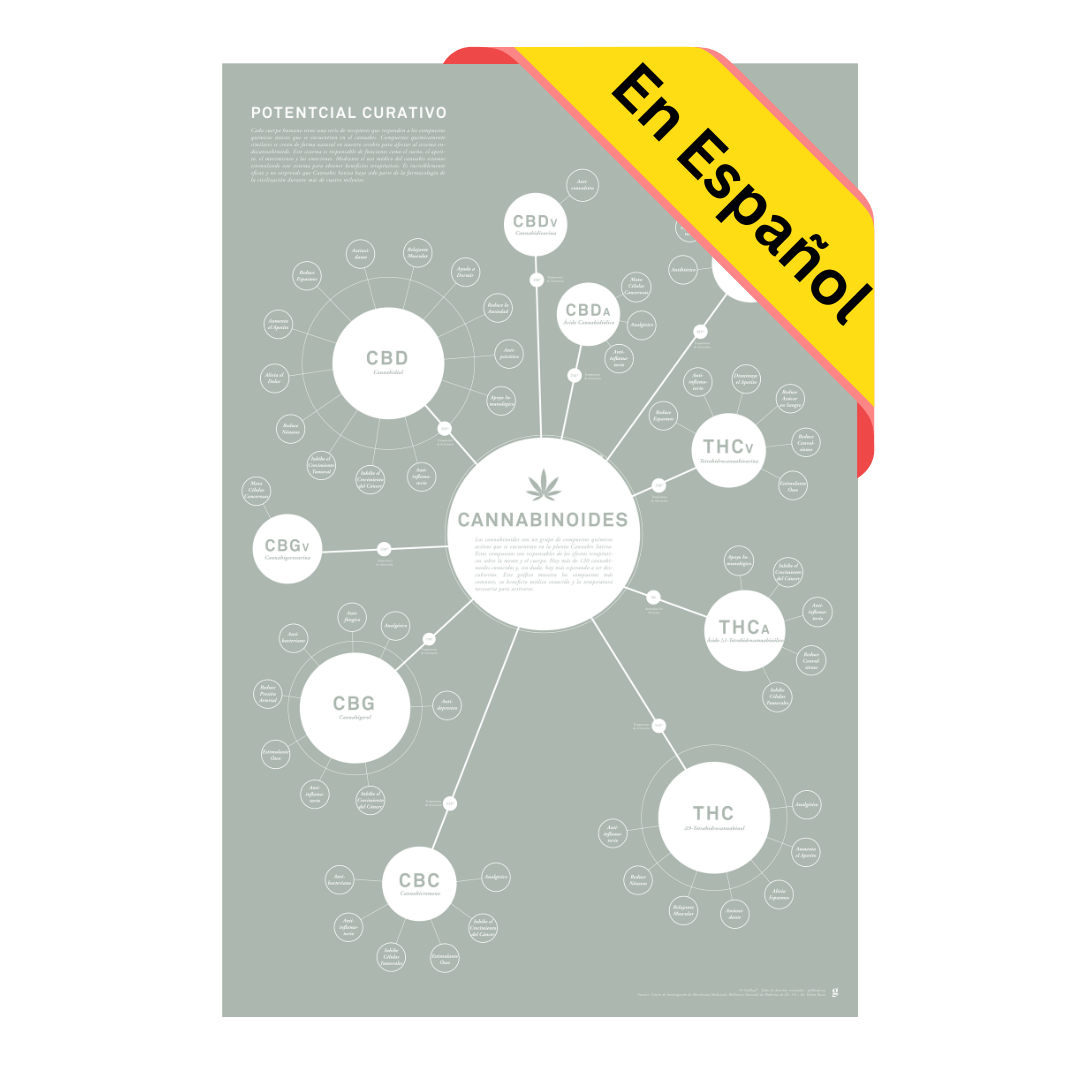 GoldLeaf Tabla de Cannabinoides Impresión en Español