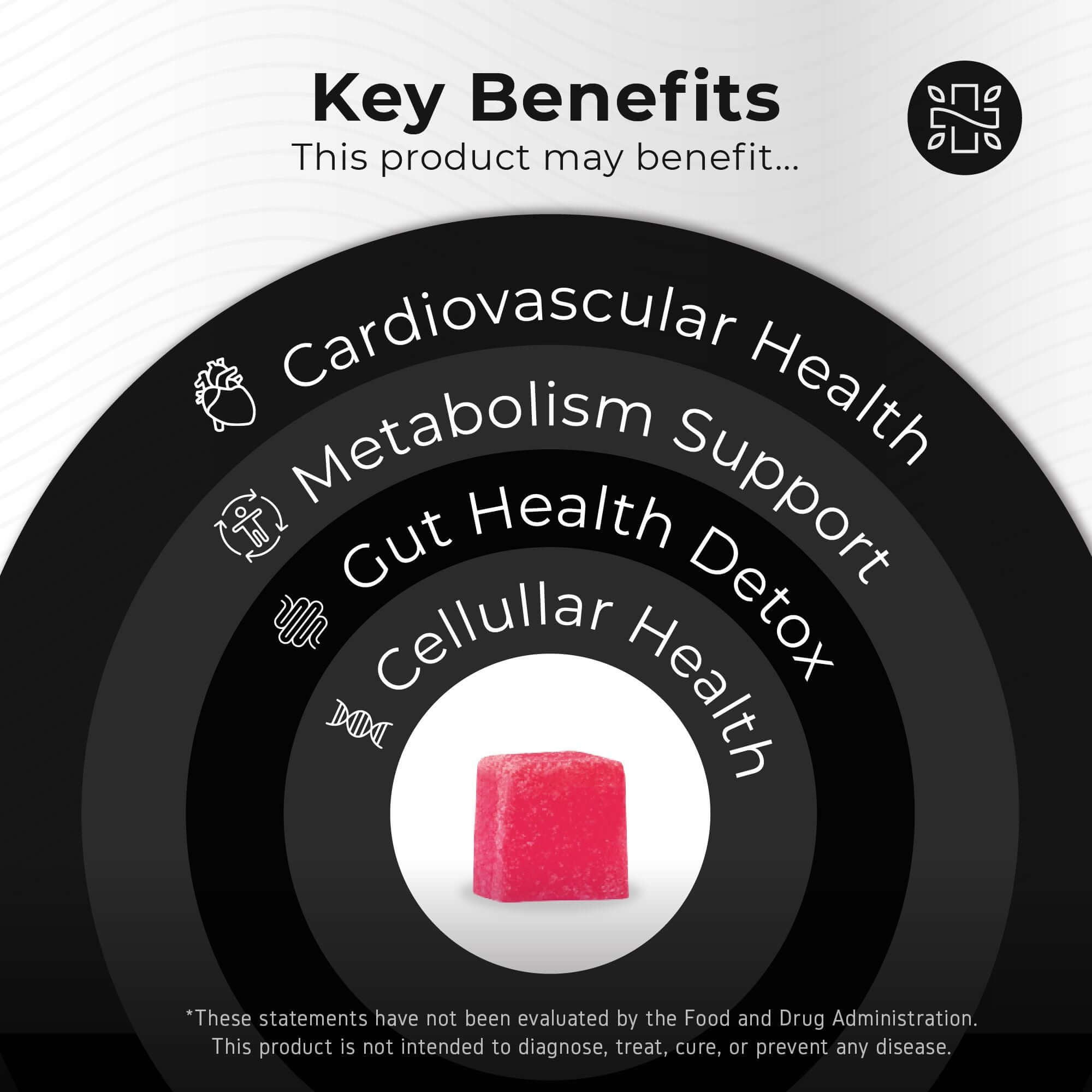 Neurogan Health Spermidine Gummies