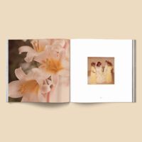 Cannabox Forgotten Flowers Book Best Sales Price - Merch & Accesories