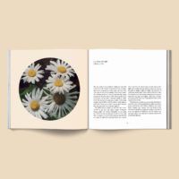 Cannabox Forgotten Flowers Book Best Sales Price - Merch & Accesories