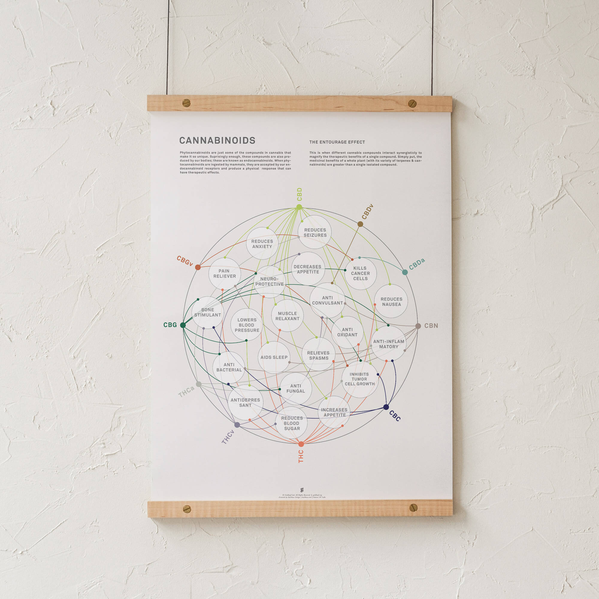 GoldLeaf La Matriz de Salud Cannabinoides Impresíon