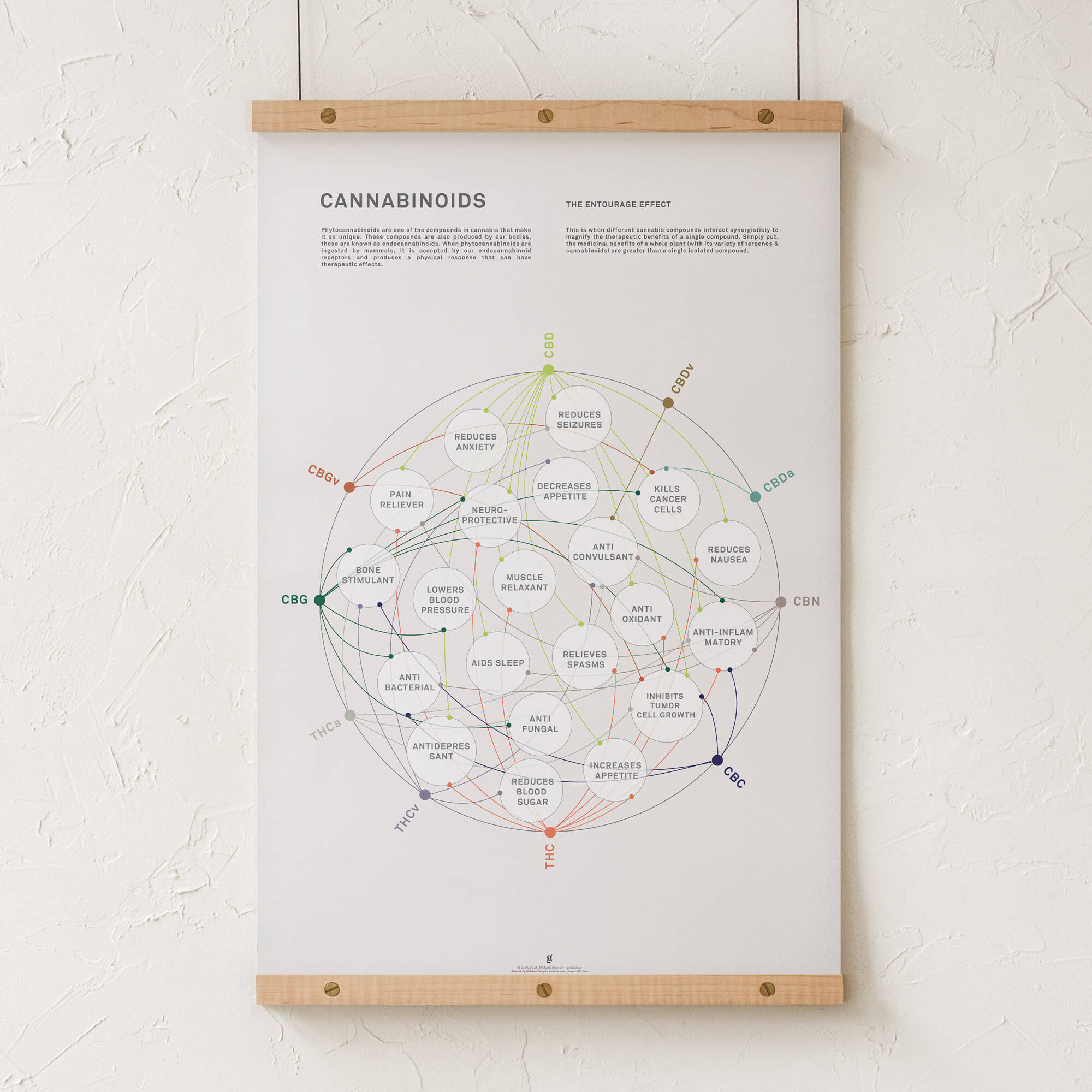 GoldLeaf La Matriz de Salud Cannabinoides Impresíon
