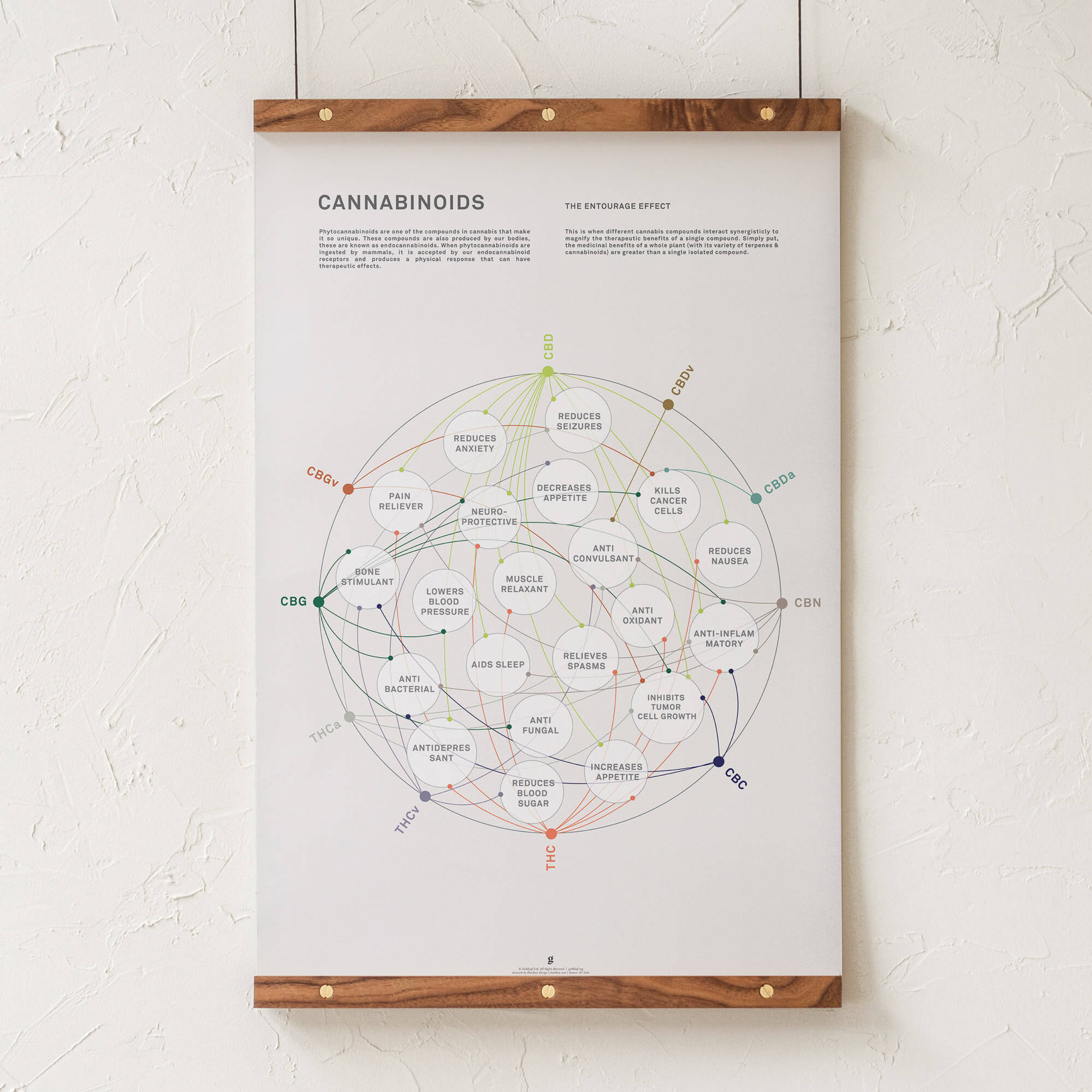 GoldLeaf La Matriz de Salud Cannabinoides Impresíon