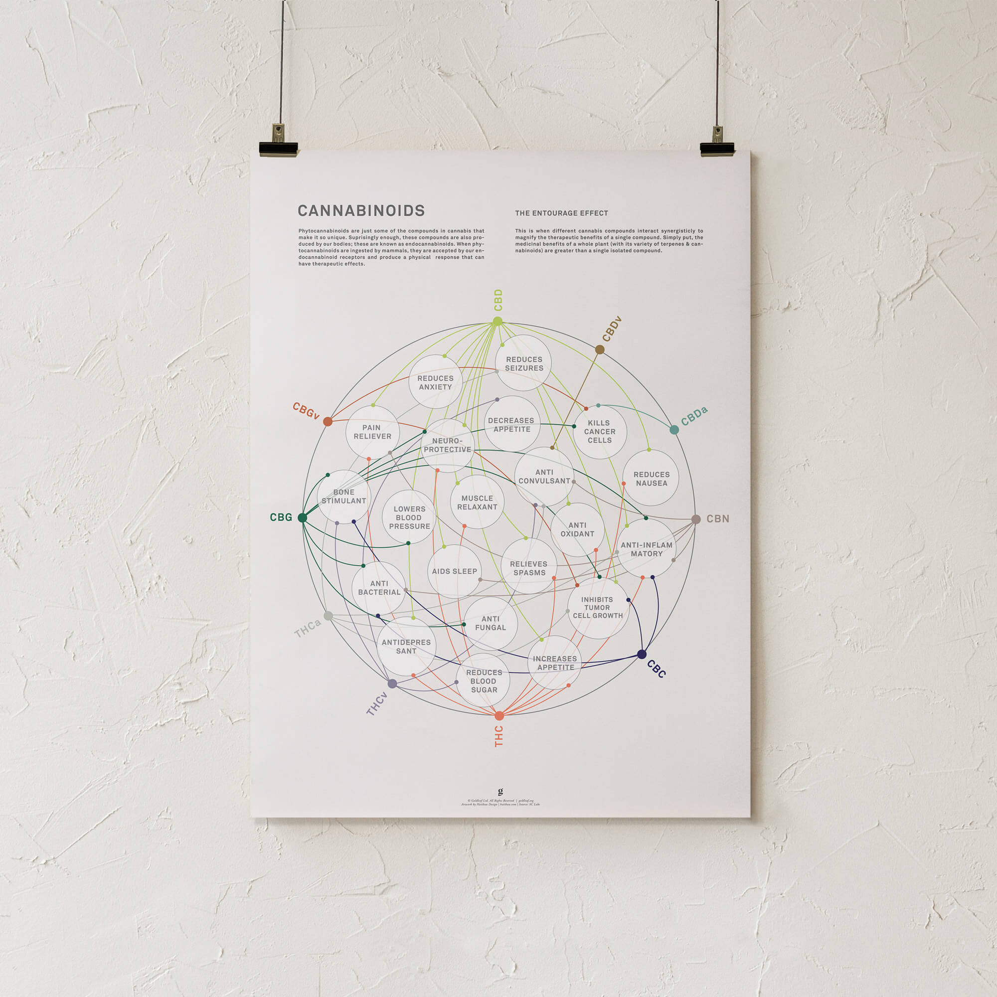 GoldLeaf La Matriz de Salud Cannabinoides Impresíon