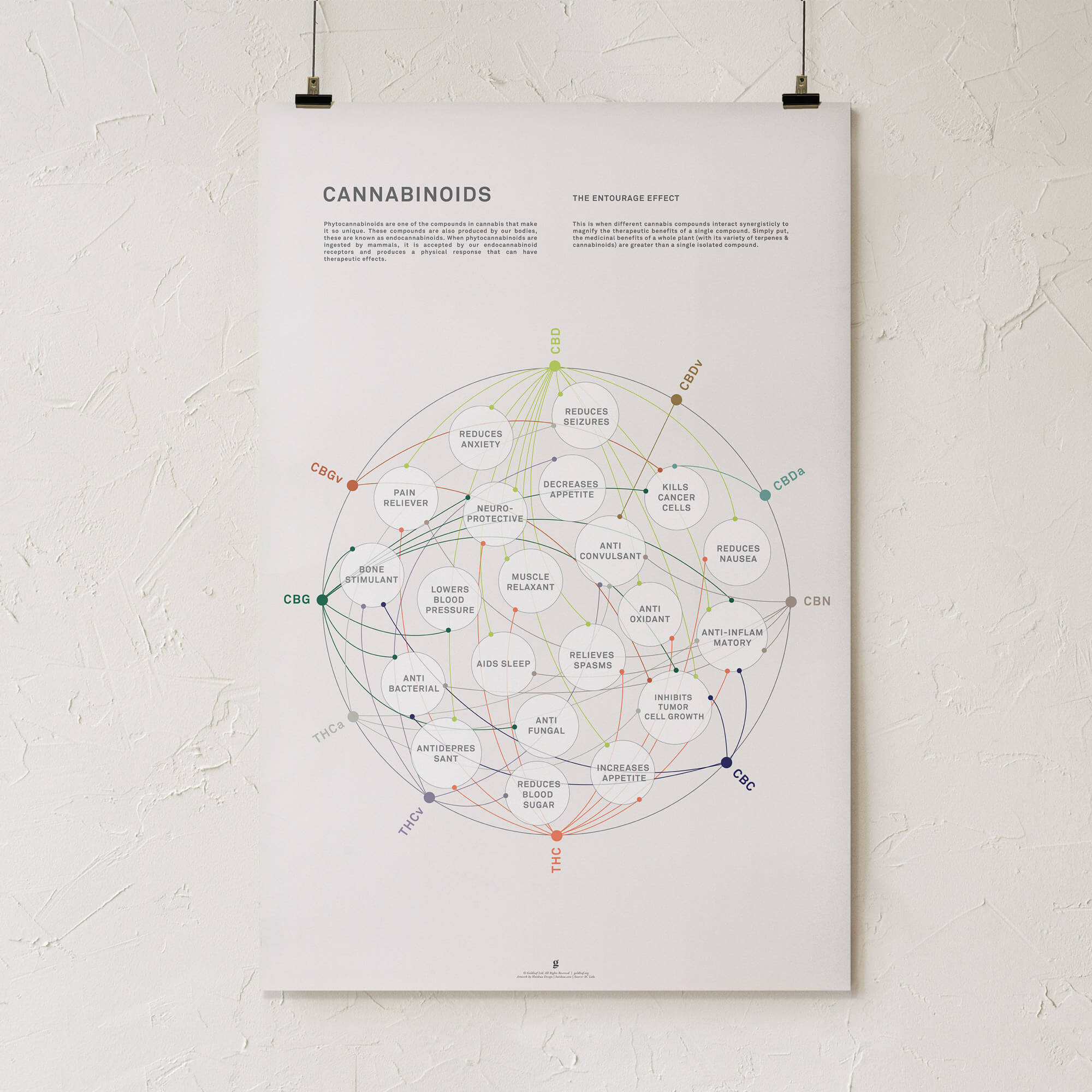 GoldLeaf La Matriz de Salud Cannabinoides Impresíon