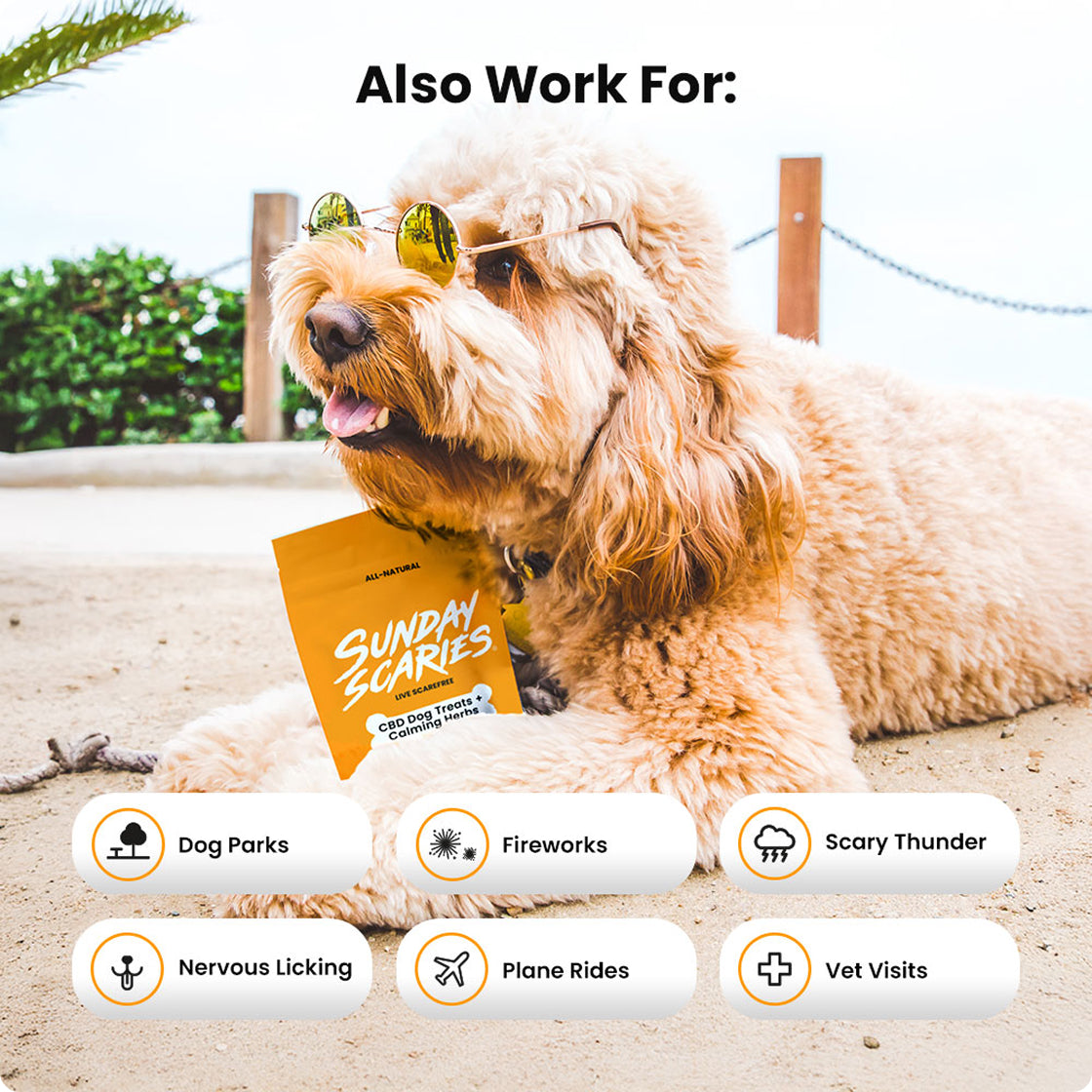 Sunday Scaries CBD Dog Treats