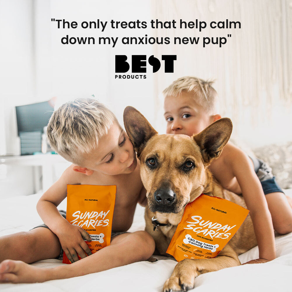 Sunday Scaries CBD Dog Treats