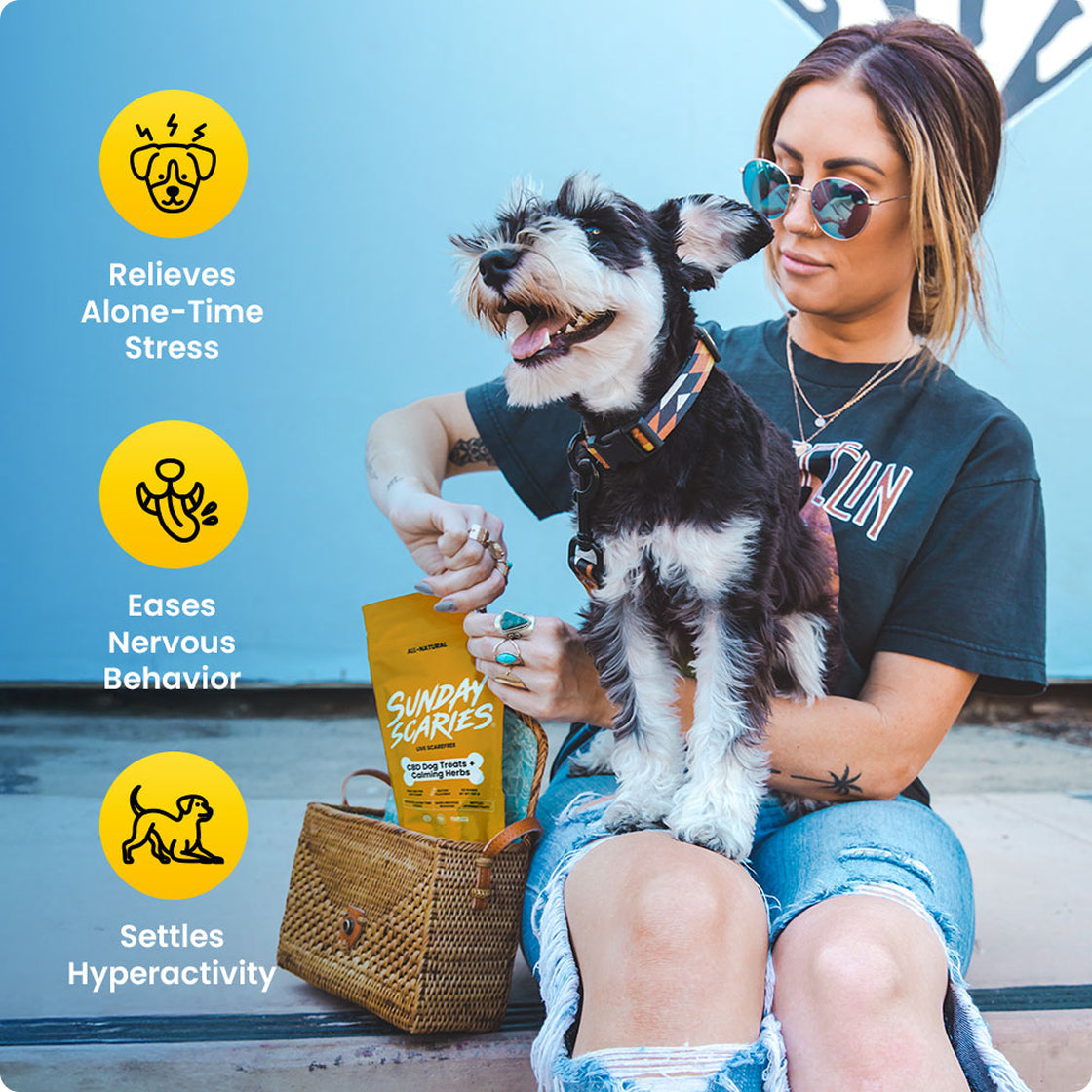 Sunday Scaries CBD Dog Treats