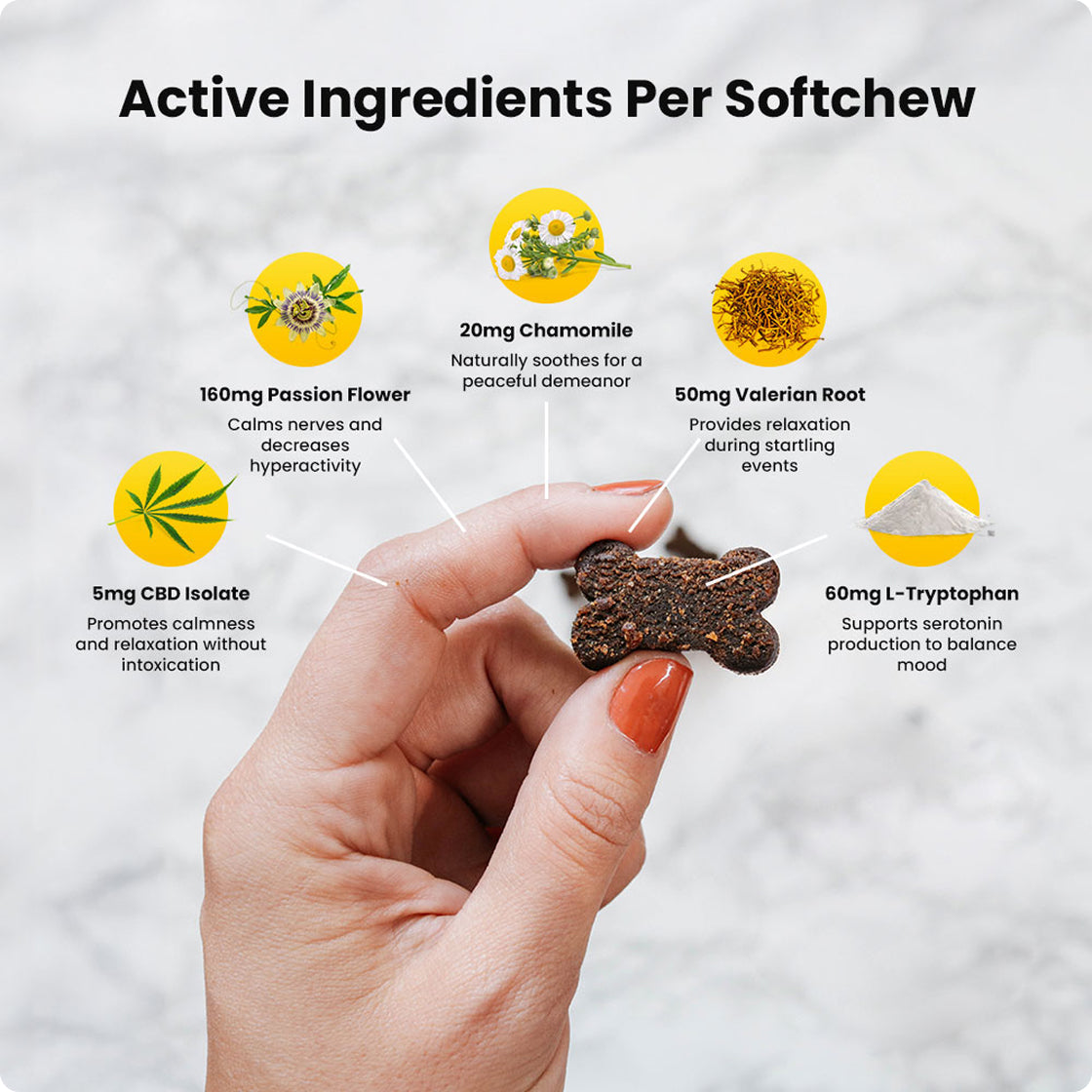 Sunday Scaries CBD Dog Treats
