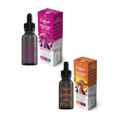 Cutleaf Pets Super Pet Blend Mushroom Tincture 30ml Best Price
