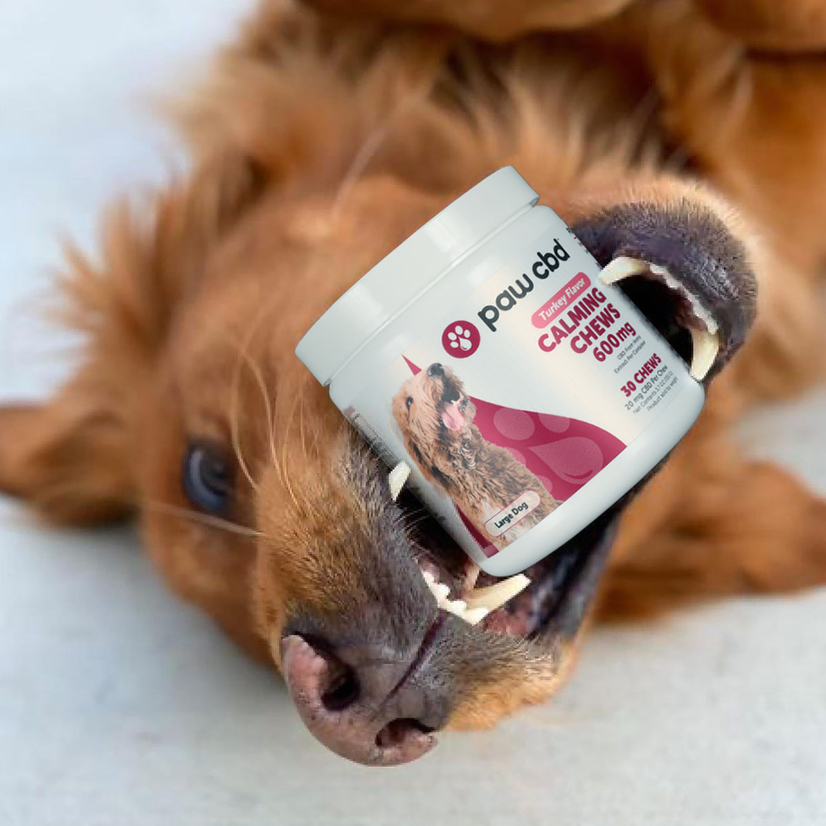 Paw CBD Broad Spectrum CBD Dog Calming Chews