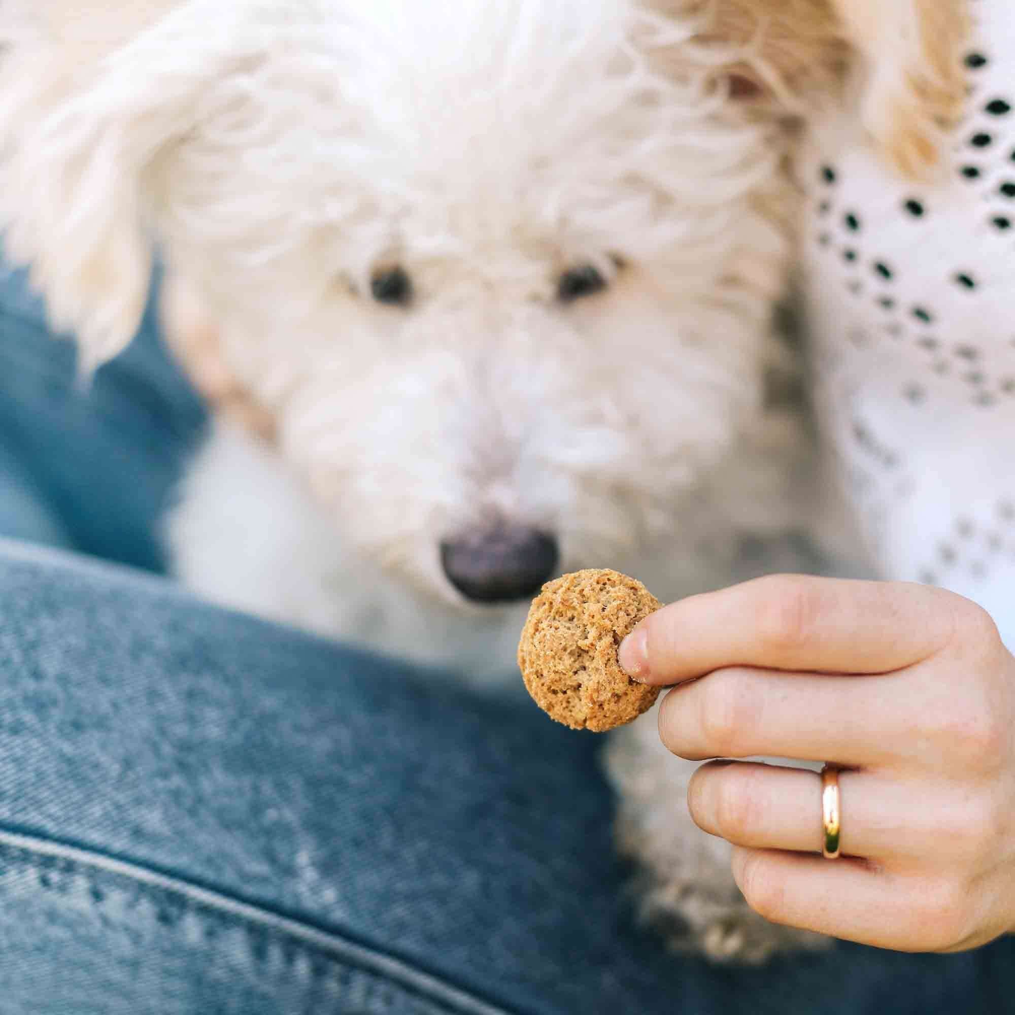 Neurogan CBD Dog Treats