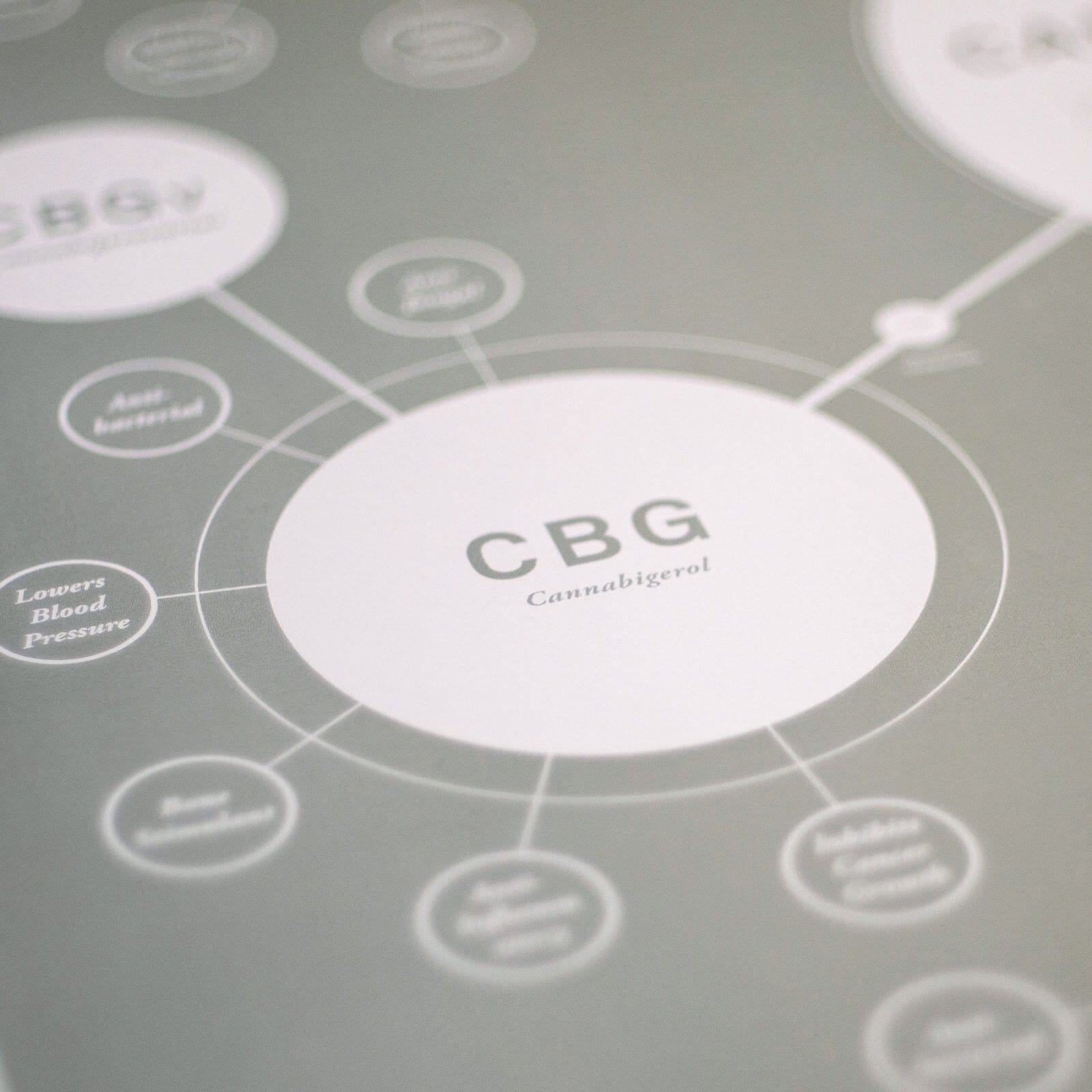 GoldLeaf Tabla de Cannabinoides Impresión en Español