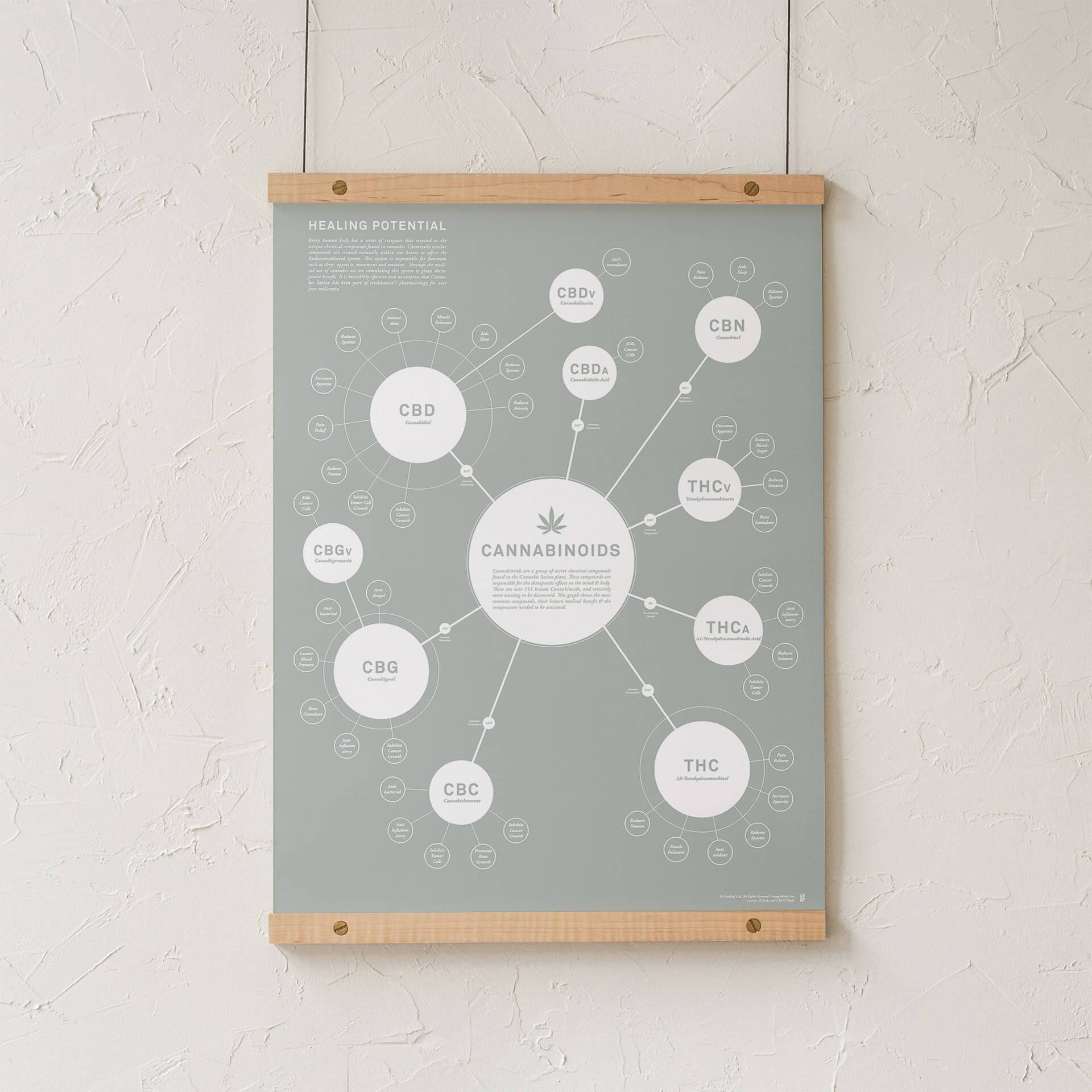 GoldLeaf Tabla de Cannabinoides Impresión en Español