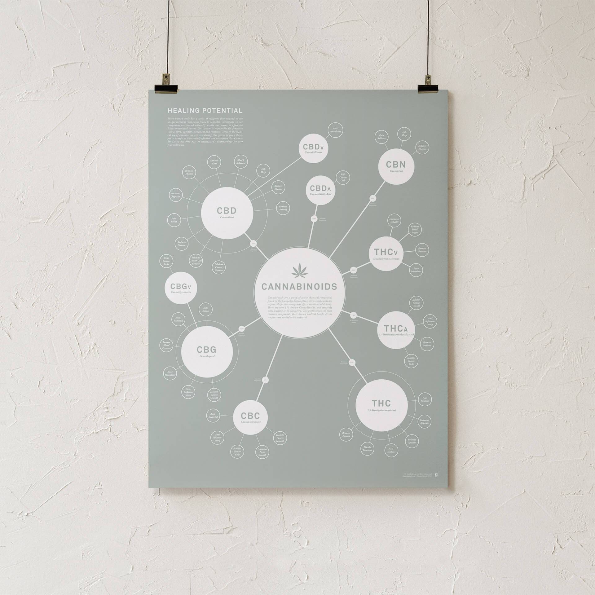 GoldLeaf Tabla de Cannabinoides Impresión en Español