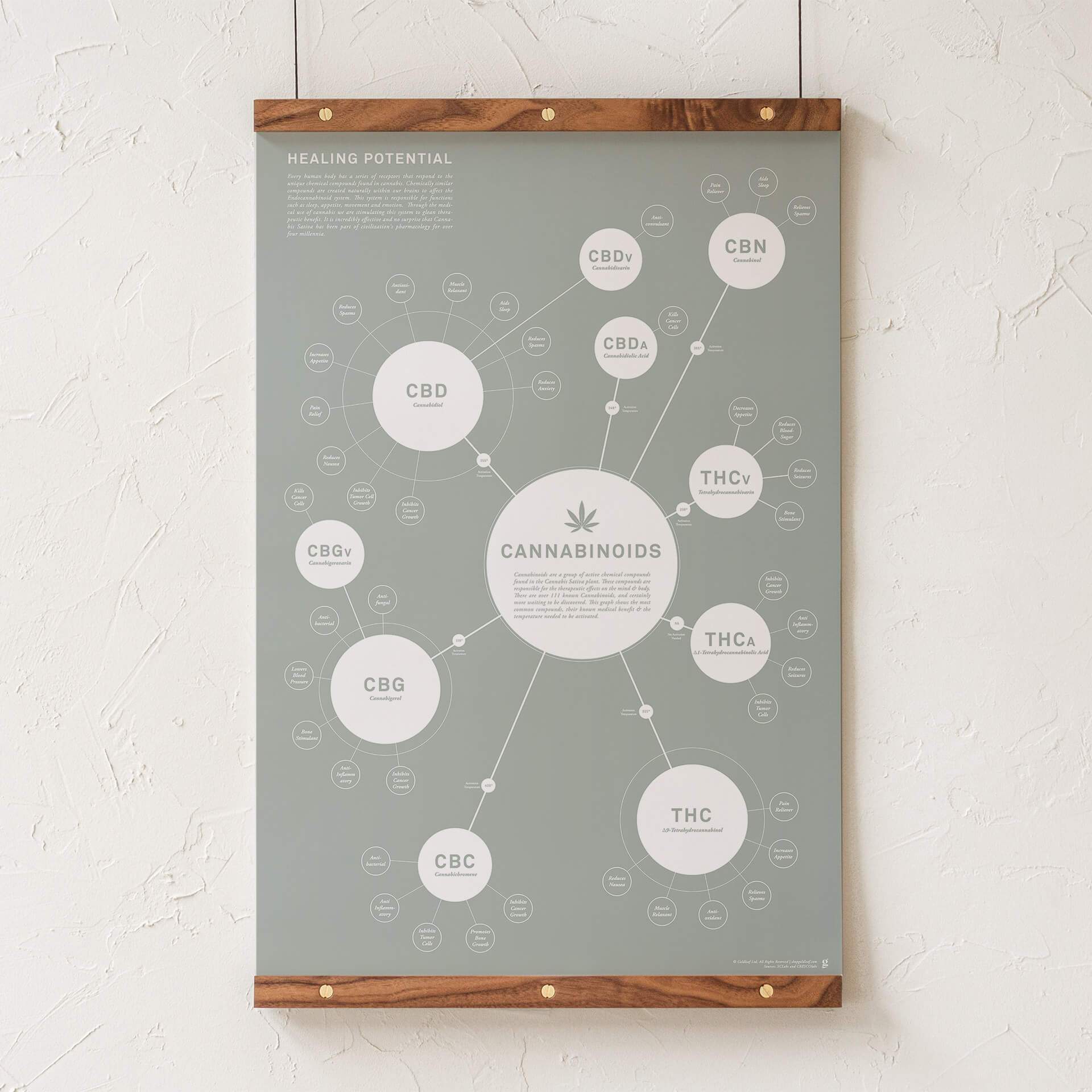 GoldLeaf Tabla de Cannabinoides Impresión en Español