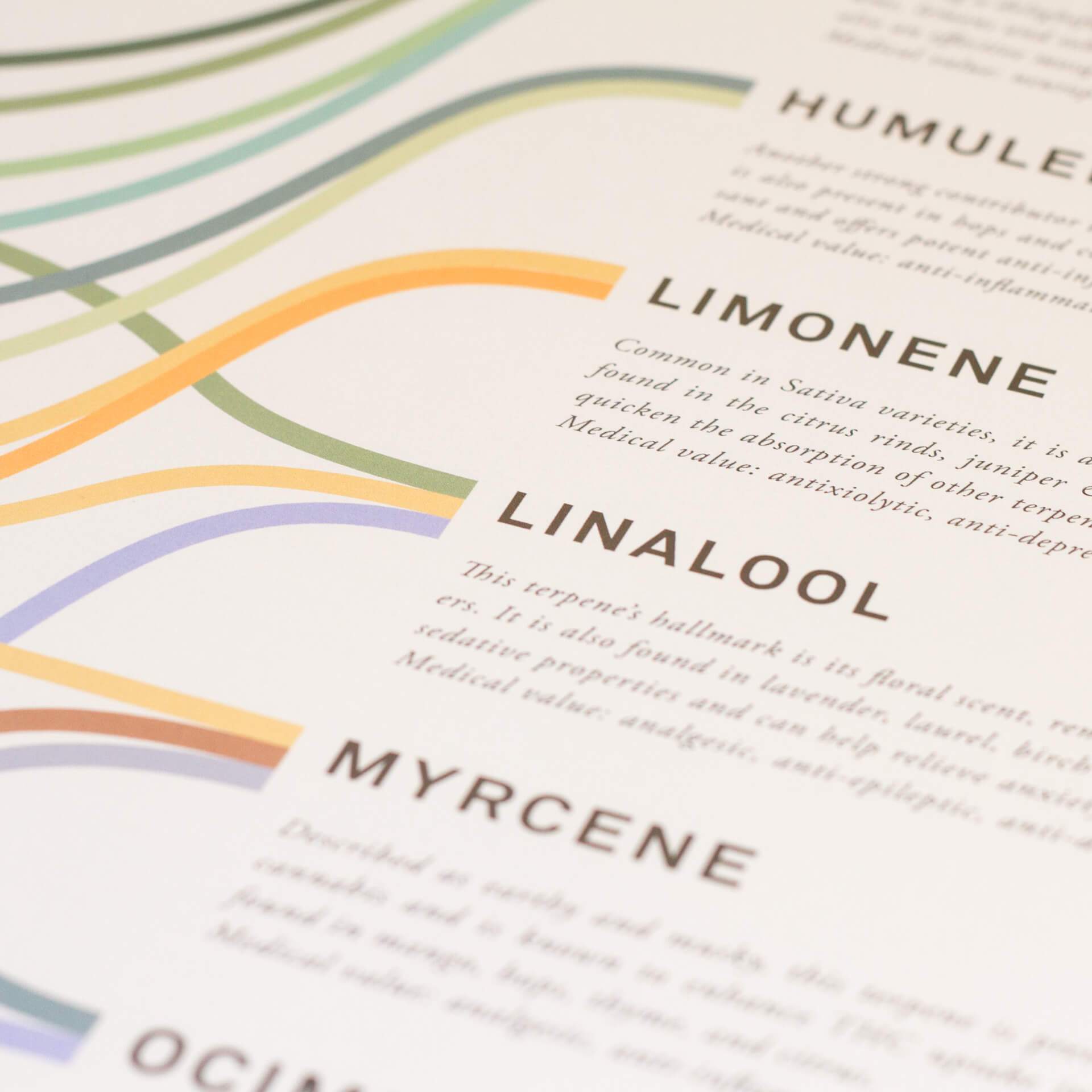 GoldLeaf Impresión Infográfica de Terpenos