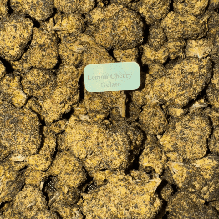 Bloomz THCA + THC-P Flower Best Price