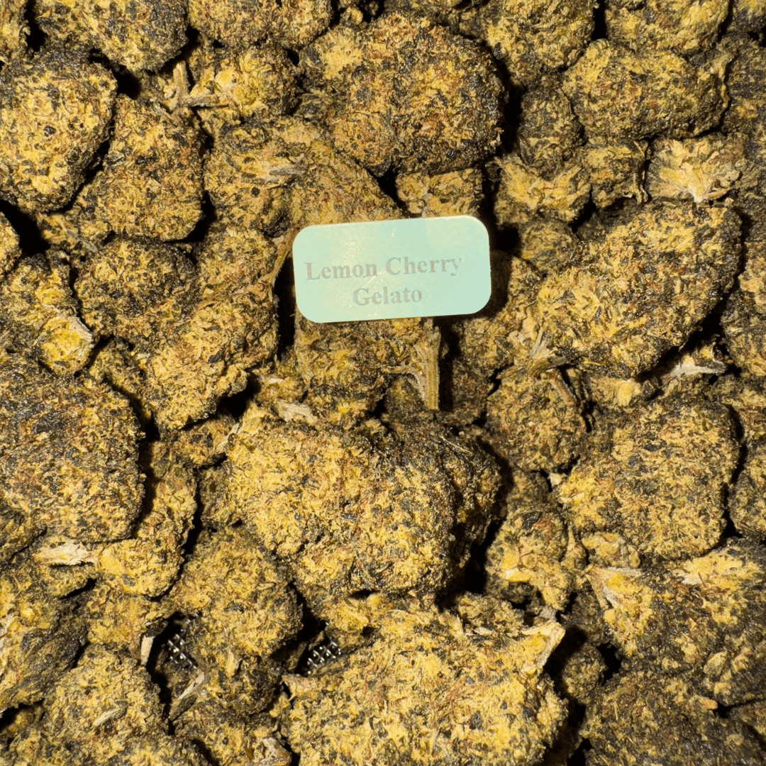 Bloomz THCA + THC-P Flower Best Price