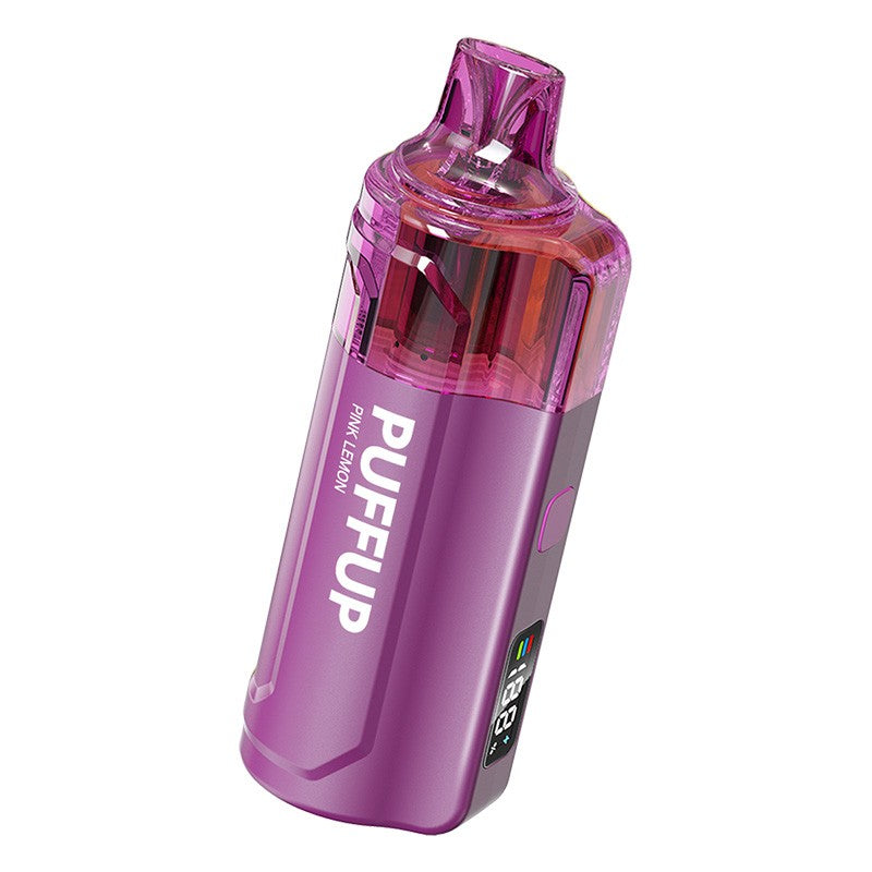 Puffup 25000 Puffs Disposable Vape (15ml, 5%)