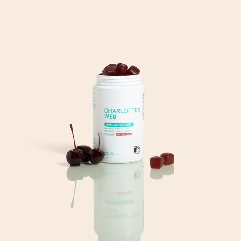 Charlotte's Web Muscle Recovery Gummy Best Price