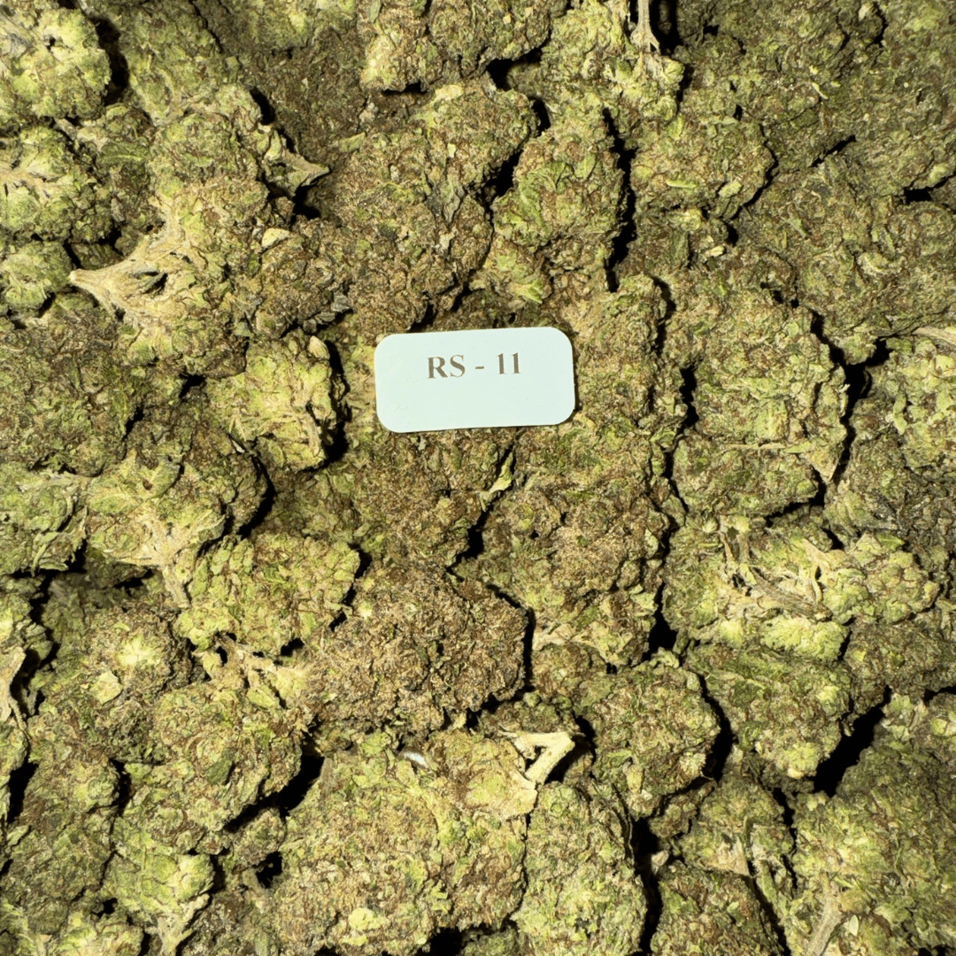 Bloomz THCA Flower Best Price