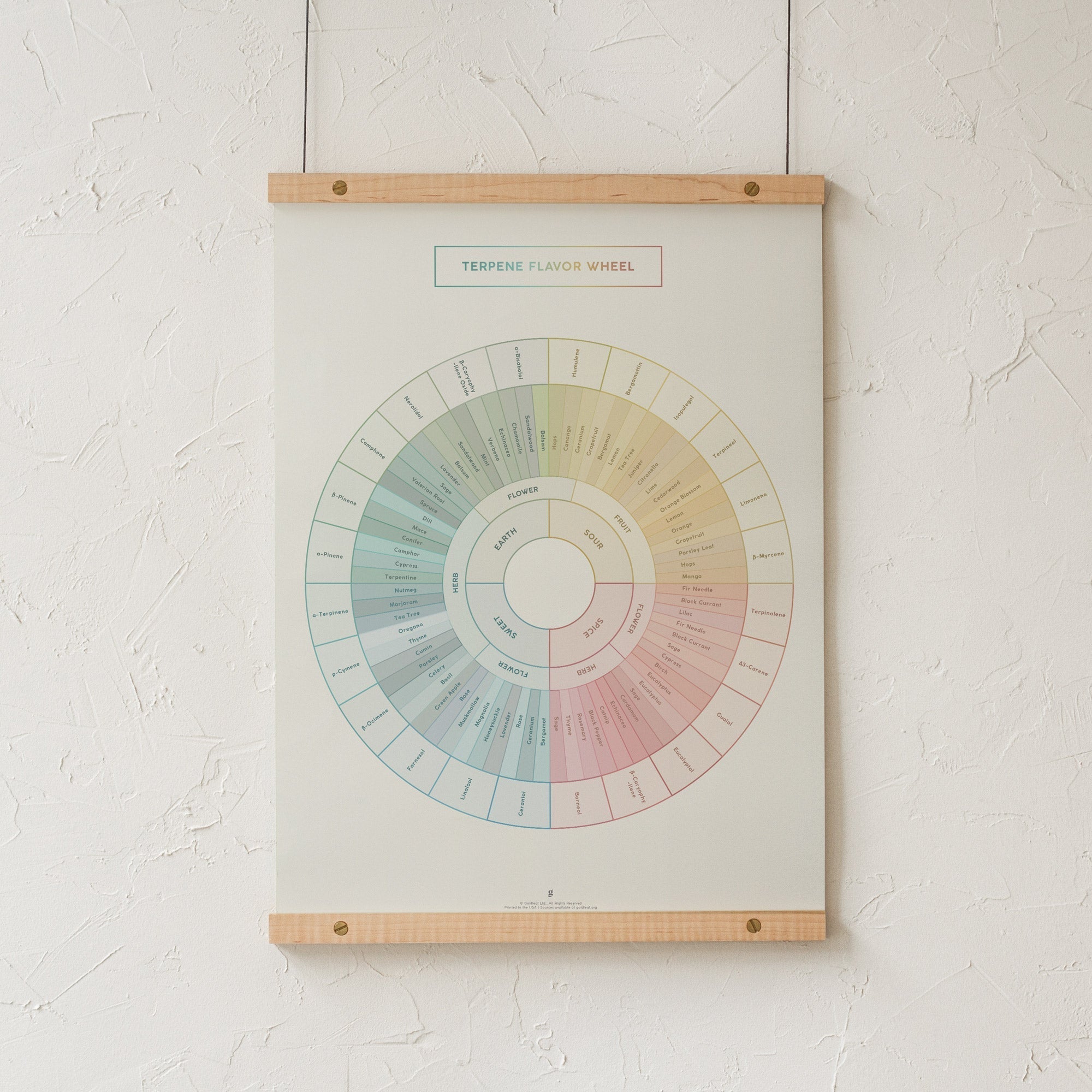 GoldLeaf Diagrama de la Rueda de Sabores y Terpenos Impresión