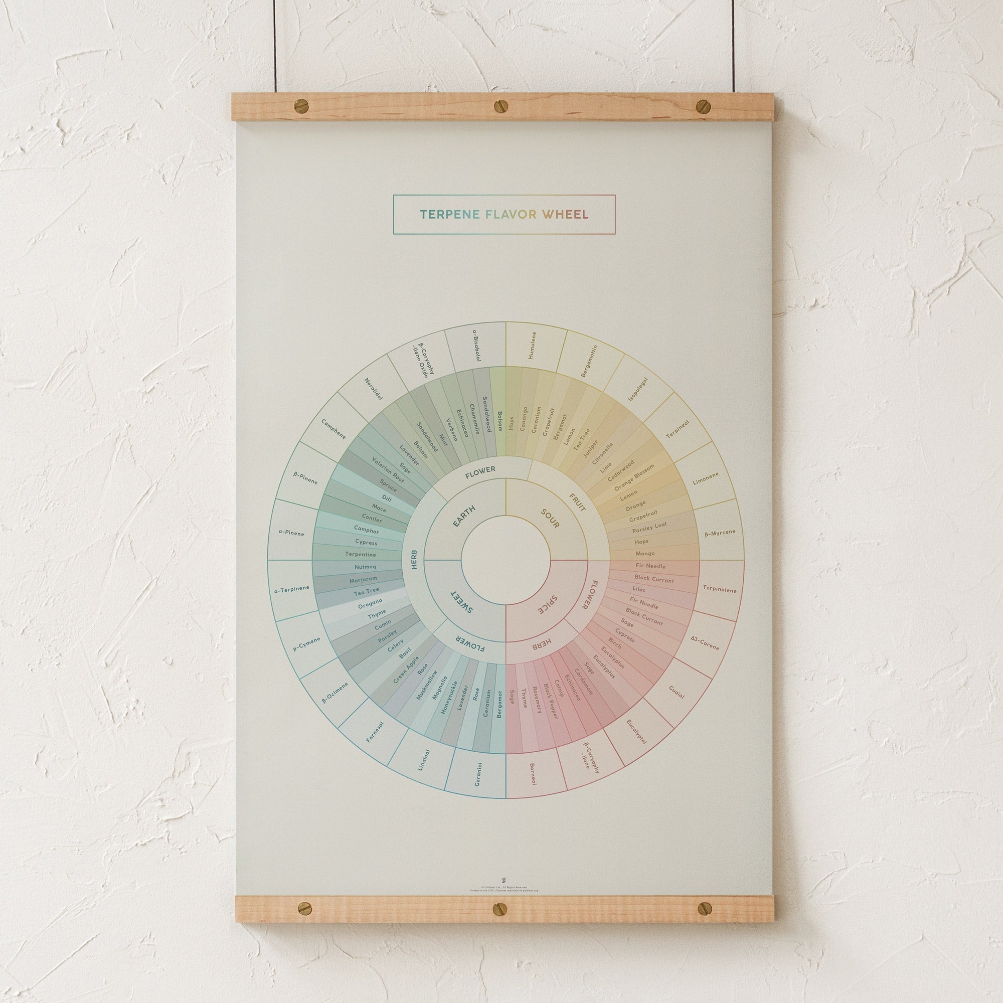 GoldLeaf Diagrama de la Rueda de Sabores y Terpenos Impresión