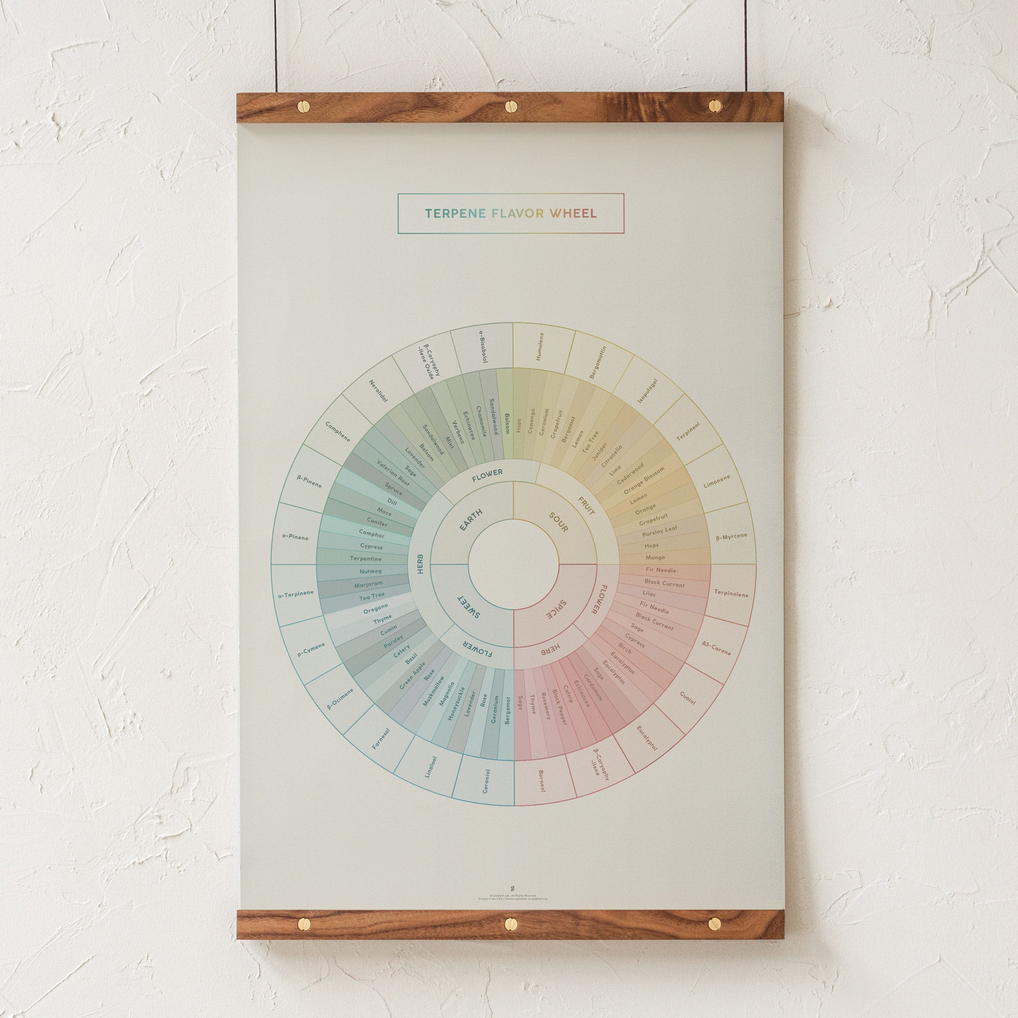 GoldLeaf Diagrama de la Rueda de Sabores y Terpenos Impresión