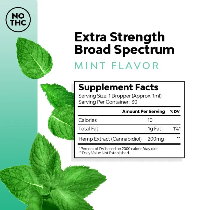 Mint Extra Strength CBD Tincture
