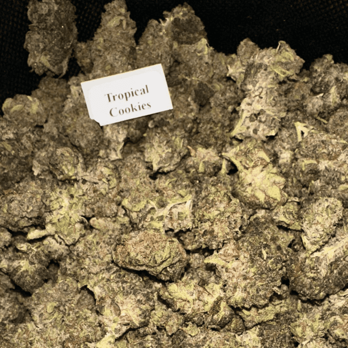 Bloomz THCA + THC-P Flower Best Price