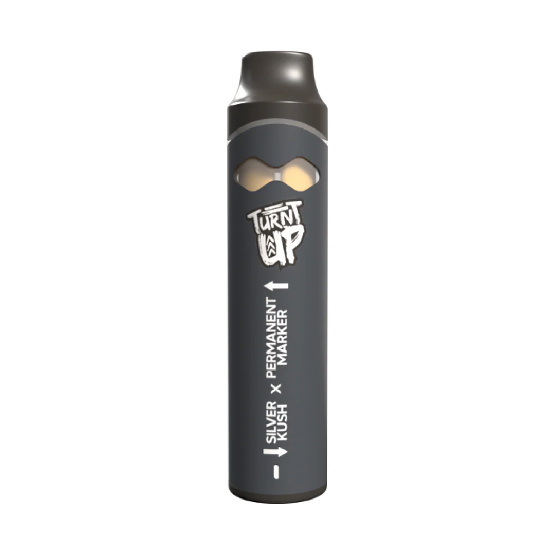 Binoid 2G Dual Flavor THC Disposable – Turnt Up (Limited Stock) Best Sales Price - Vape Pens
