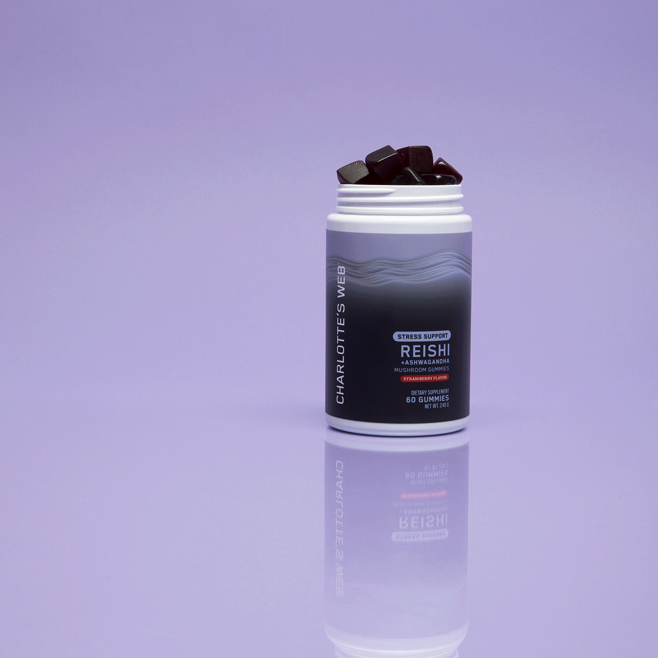 Charlotte's Web Stress Support with Reishi & Ashwagandha Mushroom Gummy Best Price