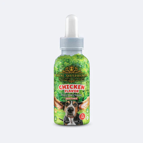 Royal Mushroom Dogs Mushroom Tincture Best Price