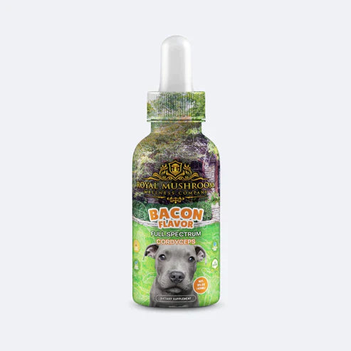 Royal Mushroom Dogs Mushroom Tincture Best Price