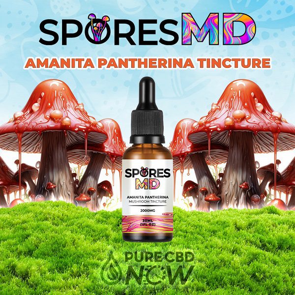 Amanita Pantherina Mushroom Tincture 2000mg HIGH STRENGTH Best Price