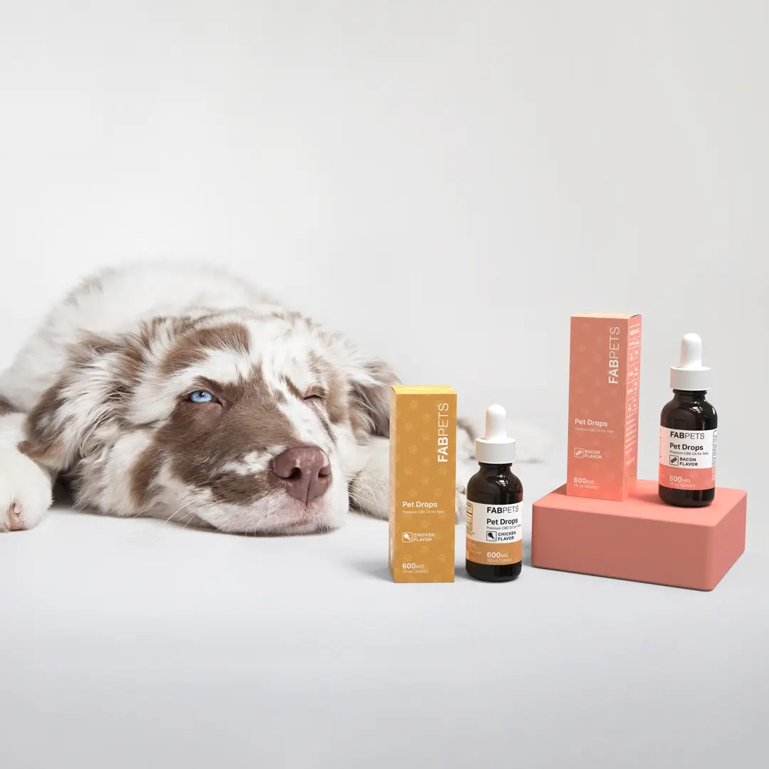 FAB CBD CBD Oil for Pets Bacon Flavor Best Price