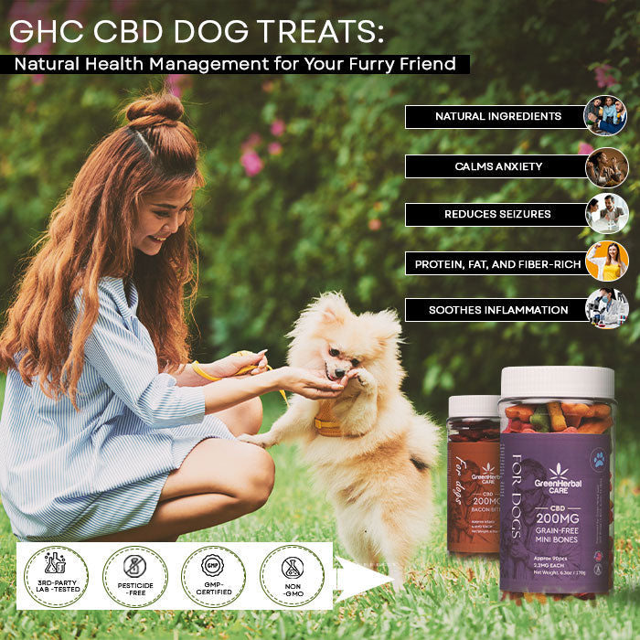 Green Herbal Care GHC CBD Dog Treats Best Price