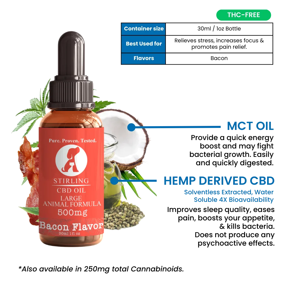 Stirling CBD - CBD Oil for Dogs (Large Breed Dogs) Best Price